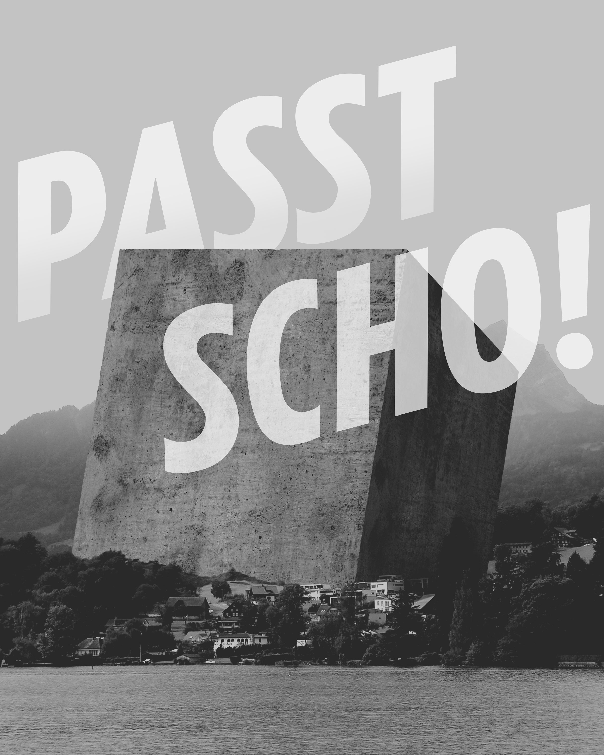 Passt scho! – Plakat